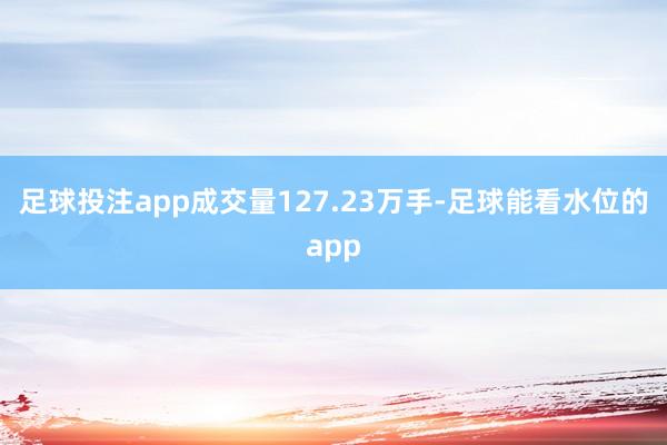 足球投注app成交量127.23万手-足球能看水位的app