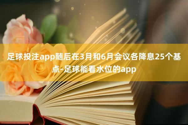 足球投注app随后在3月和6月会议各降息25个基点-足球能看水位的app