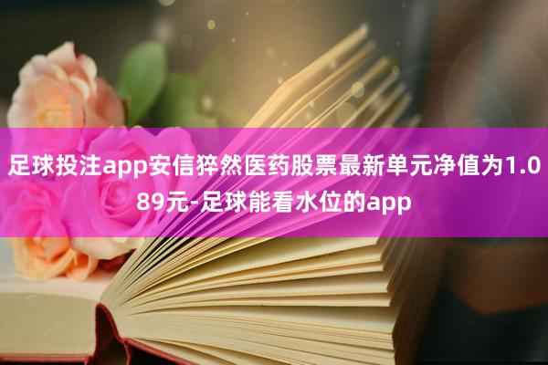 足球投注app安信猝然医药股票最新单元净值为1.089元-足球能看水位的app