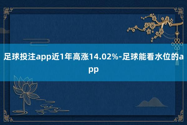 足球投注app近1年高涨14.02%-足球能看水位的app