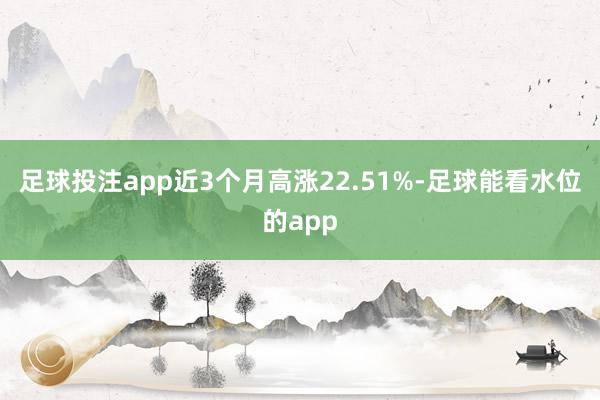 足球投注app近3个月高涨22.51%-足球能看水位的app