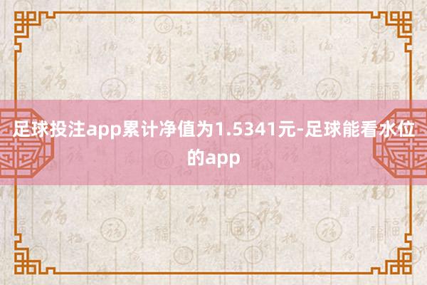 足球投注app累计净值为1.5341元-足球能看水位的app