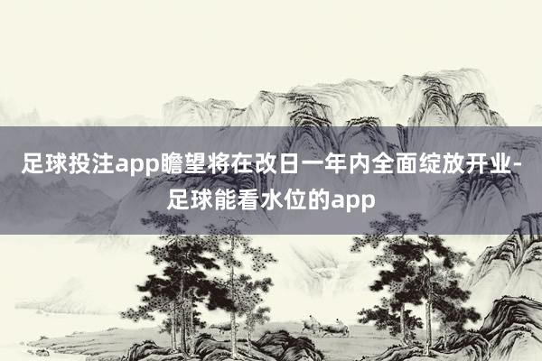 足球投注app瞻望将在改日一年内全面绽放开业-足球能看水位的app