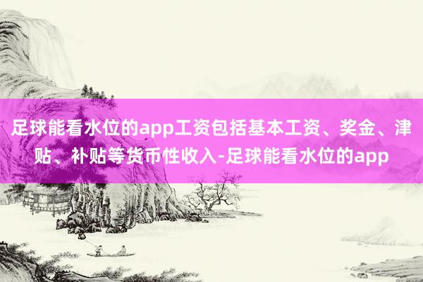 足球能看水位的app工资包括基本工资、奖金、津贴、补贴等货币性收入-足球能看水位的app