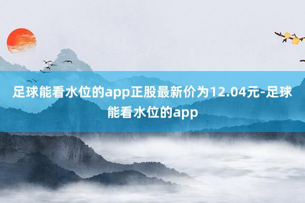 足球能看水位的app正股最新价为12.04元-足球能看水位的app