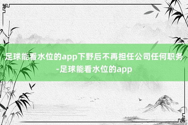 足球能看水位的app下野后不再担任公司任何职务-足球能看水位的app