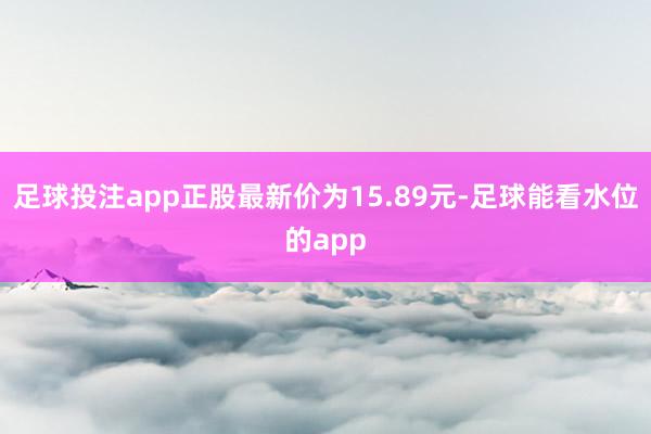 足球投注app正股最新价为15.89元-足球能看水位的app