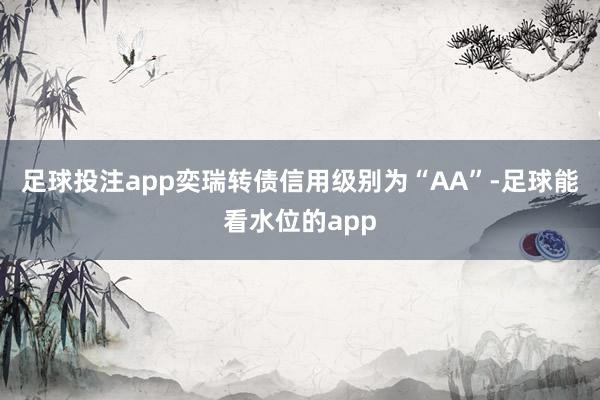 足球投注app奕瑞转债信用级别为“AA”-足球能看水位的app