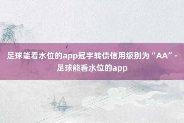 足球能看水位的app冠宇转债信用级别为“AA”-足球能看水位的app