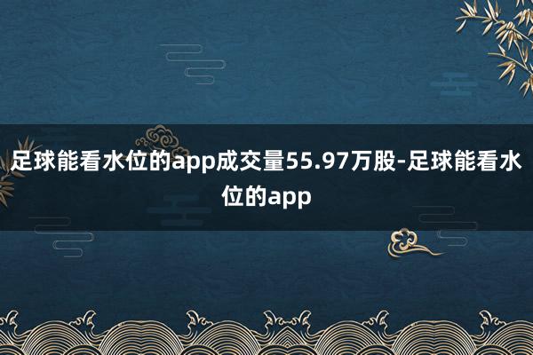 足球能看水位的app成交量55.97万股-足球能看水位的app