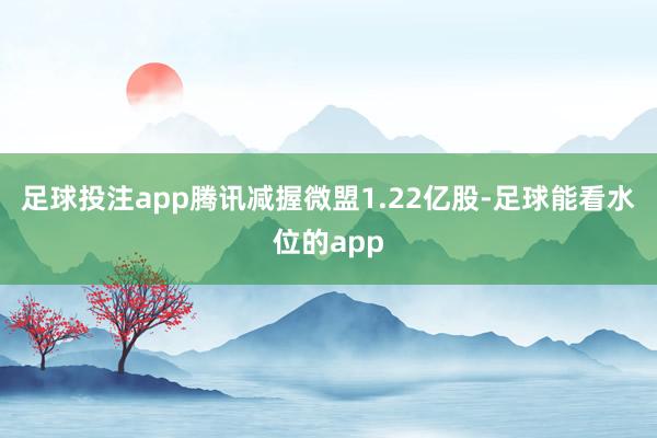 足球投注app腾讯减握微盟1.22亿股-足球能看水位的app