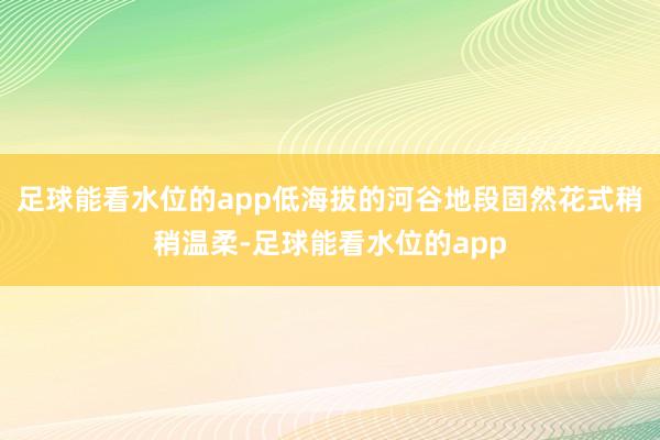 足球能看水位的app低海拔的河谷地段固然花式稍稍温柔-足球能看水位的app