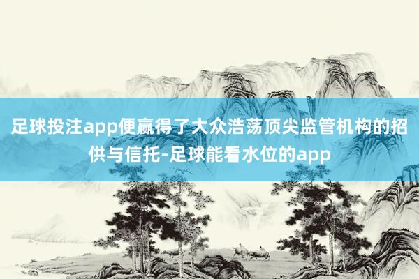 足球投注app便赢得了大众浩荡顶尖监管机构的招供与信托-足球能看水位的app