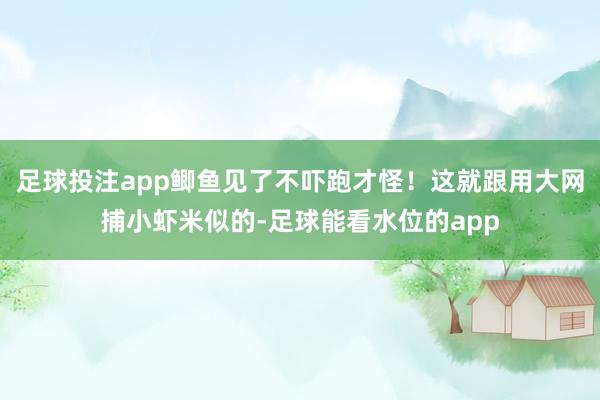 足球投注app鲫鱼见了不吓跑才怪！这就跟用大网捕小虾米似的-足球能看水位的app