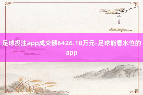 足球投注app成交额6426.18万元-足球能看水位的app