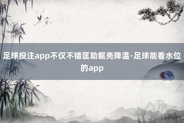 足球投注app不仅不错匡助躯壳降温-足球能看水位的app