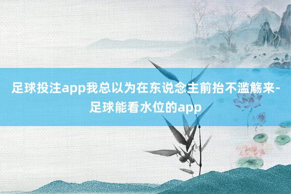 足球投注app我总以为在东说念主前抬不滥觞来-足球能看水位的app