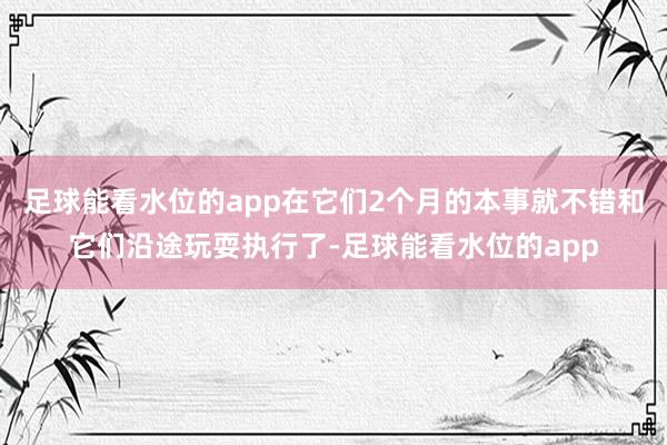 足球能看水位的app在它们2个月的本事就不错和它们沿途玩耍执行了-足球能看水位的app