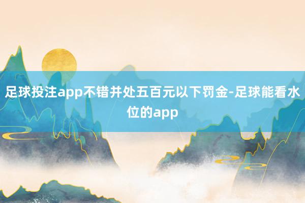 足球投注app不错并处五百元以下罚金-足球能看水位的app
