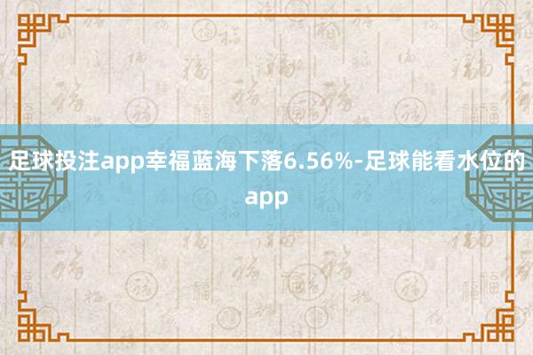 足球投注app幸福蓝海下落6.56%-足球能看水位的app