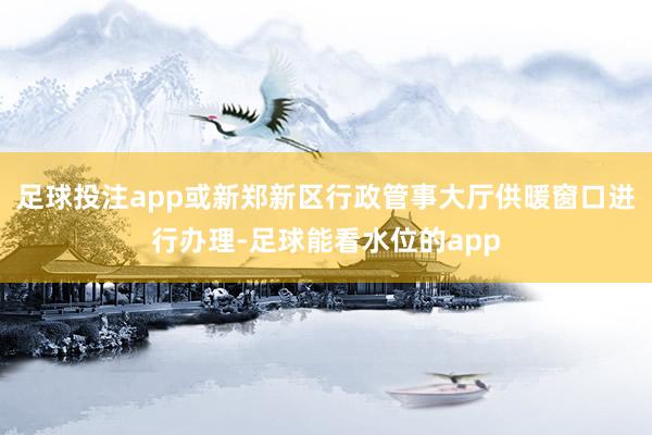 足球投注app或新郑新区行政管事大厅供暖窗口进行办理-足球能看水位的app