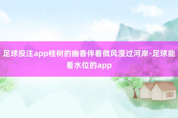 足球投注app桂树的幽香伴着微风漫过河岸-足球能看水位的app
