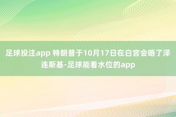 足球投注app 特朗普于10月17日在白宫会晤了泽连斯基-足球能看水位的app