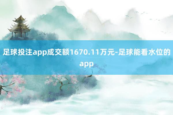 足球投注app成交额1670.11万元-足球能看水位的app