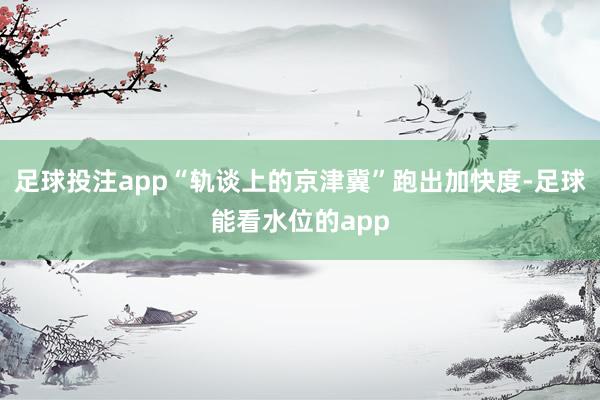 足球投注app“轨谈上的京津冀”跑出加快度-足球能看水位的app
