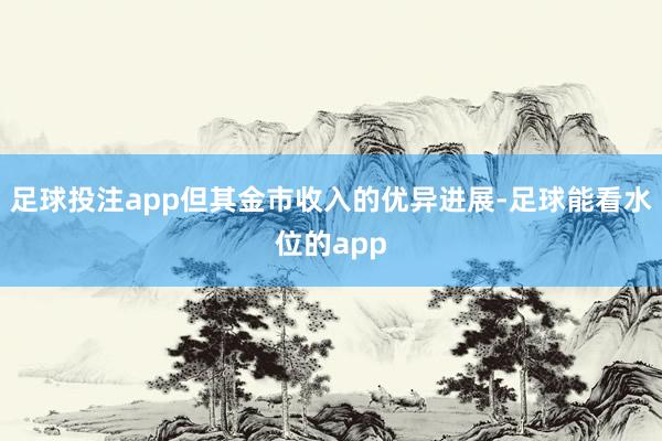 足球投注app但其金市收入的优异进展-足球能看水位的app
