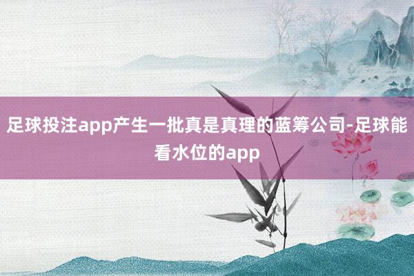 足球投注app产生一批真是真理的蓝筹公司-足球能看水位的app