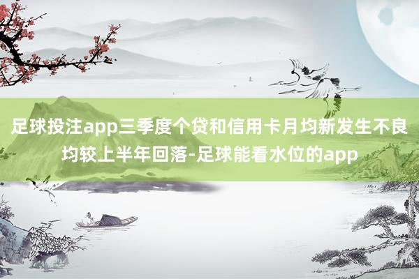 足球投注app三季度个贷和信用卡月均新发生不良均较上半年回落-足球能看水位的app