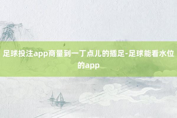 足球投注app商量到一丁点儿的插足-足球能看水位的app
