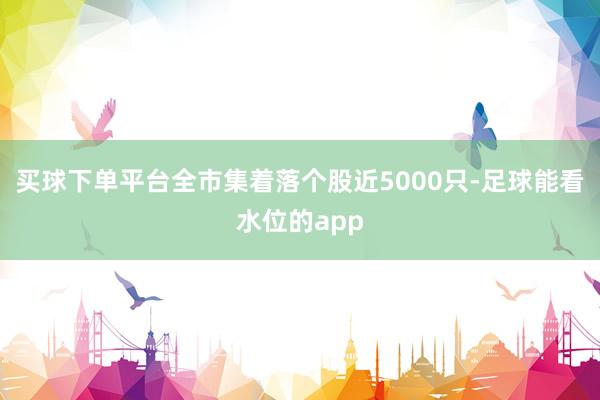 买球下单平台全市集着落个股近5000只-足球能看水位的app