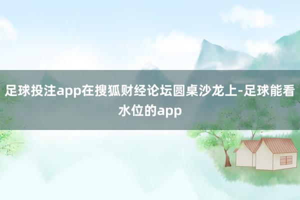 足球投注app在搜狐财经论坛圆桌沙龙上-足球能看水位的app