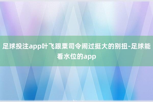 足球投注app叶飞跟粟司令闹过挺大的别扭-足球能看水位的app