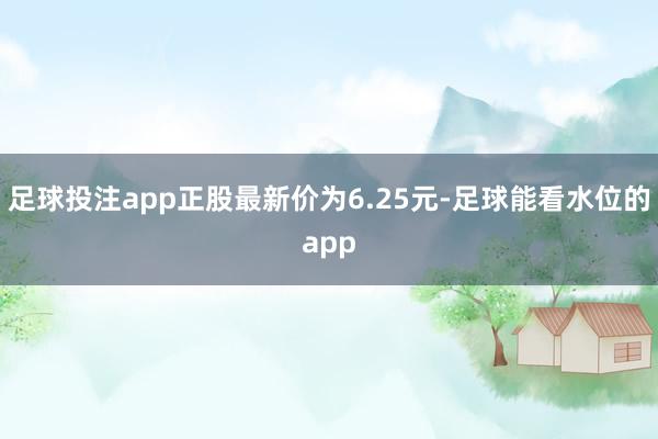 足球投注app正股最新价为6.25元-足球能看水位的app