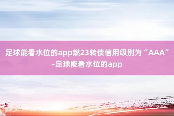 足球能看水位的app燃23转债信用级别为“AAA”-足球能看水位的app