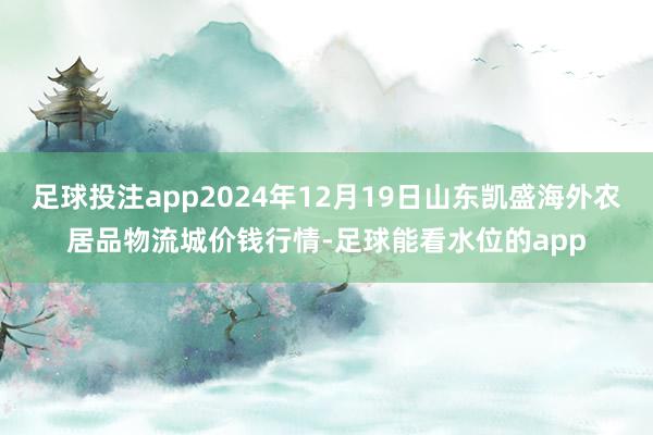 足球投注app2024年12月19日山东凯盛海外农居品物流城价钱行情-足球能看水位的app