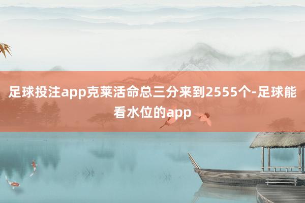 足球投注app克莱活命总三分来到2555个-足球能看水位的app