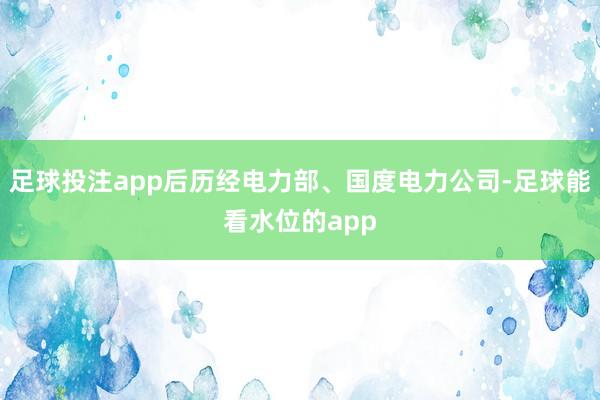 足球投注app后历经电力部、国度电力公司-足球能看水位的app