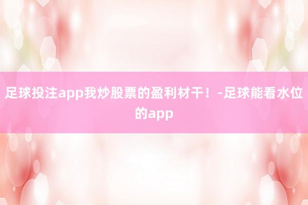 足球投注app我炒股票的盈利材干！-足球能看水位的app