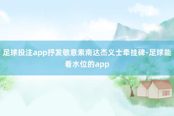 足球投注app抒发敬意索南达杰义士牵挂碑-足球能看水位的app