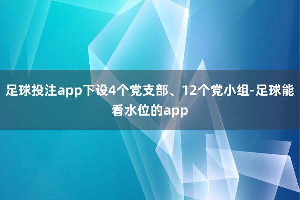 足球投注app下设4个党支部、12个党小组-足球能看水位的app