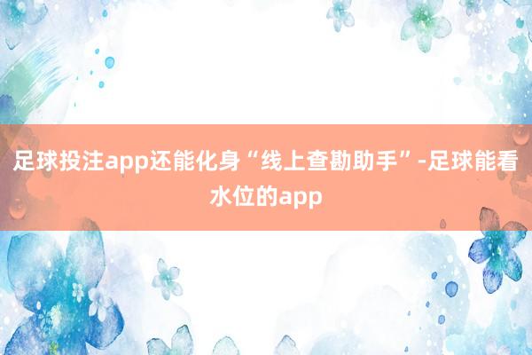 足球投注app还能化身“线上查勘助手”-足球能看水位的app