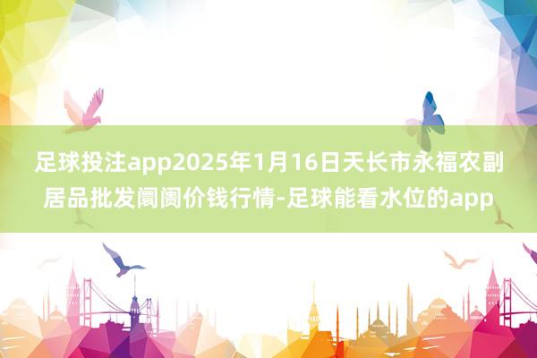 足球投注app2025年1月16日天长市永福农副居品批发阛阓价钱行情-足球能看水位的app