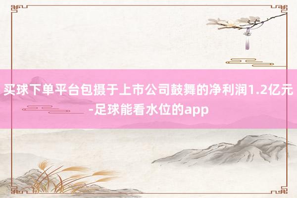 买球下单平台包摄于上市公司鼓舞的净利润1.2亿元-足球能看水位的app