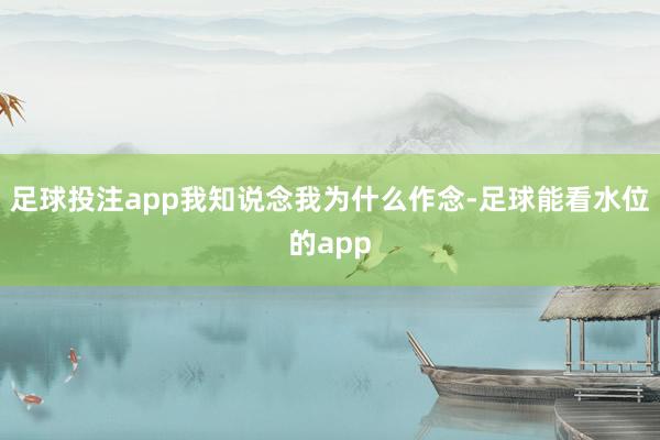 足球投注app我知说念我为什么作念-足球能看水位的app