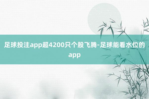 足球投注app超4200只个股飞腾-足球能看水位的app