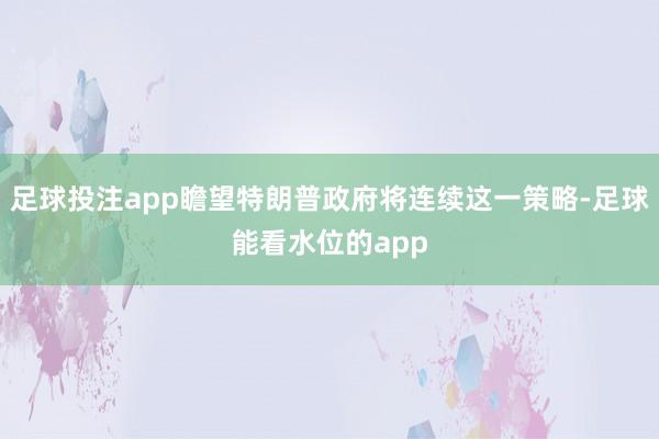 足球投注app瞻望特朗普政府将连续这一策略-足球能看水位的app